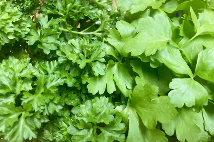 What is the Difference Between Flat Leaf and Curly Parsley?